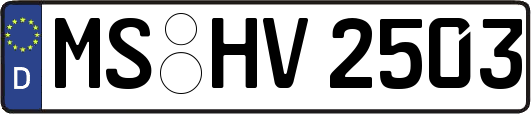 MS-HV2503