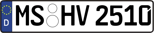 MS-HV2510