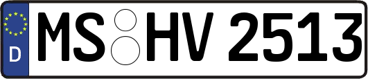 MS-HV2513