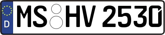MS-HV2530