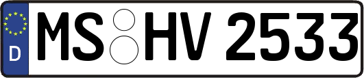 MS-HV2533