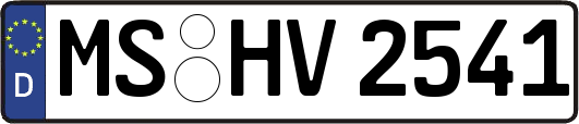 MS-HV2541