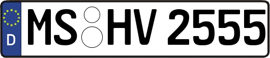 MS-HV2555