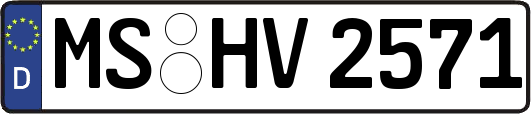 MS-HV2571