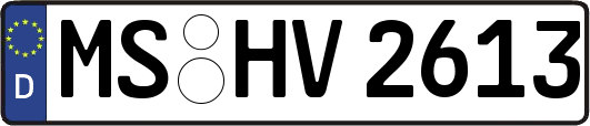 MS-HV2613