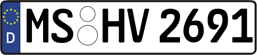 MS-HV2691