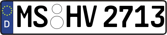 MS-HV2713