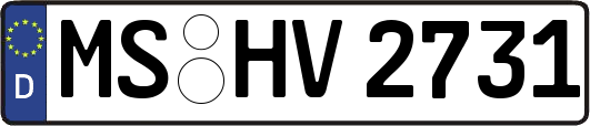 MS-HV2731