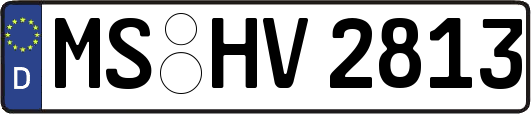 MS-HV2813