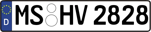 MS-HV2828