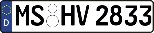 MS-HV2833