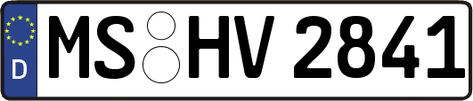 MS-HV2841