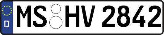 MS-HV2842