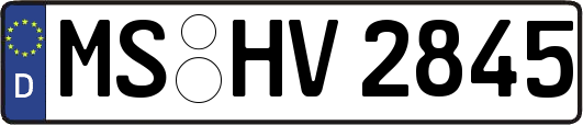 MS-HV2845