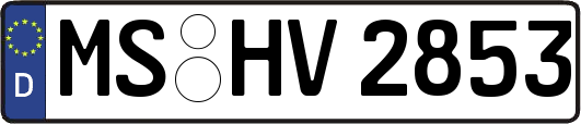 MS-HV2853