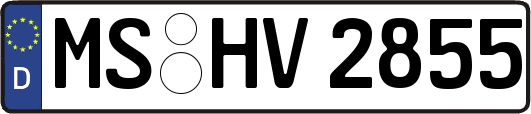 MS-HV2855