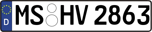 MS-HV2863