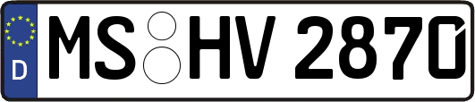 MS-HV2870