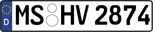 MS-HV2874