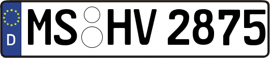 MS-HV2875
