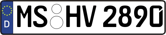 MS-HV2890