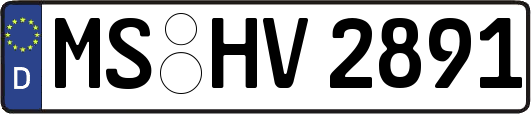 MS-HV2891
