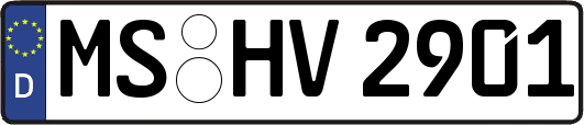 MS-HV2901