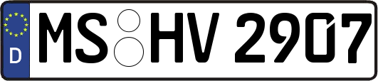 MS-HV2907