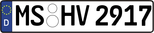 MS-HV2917