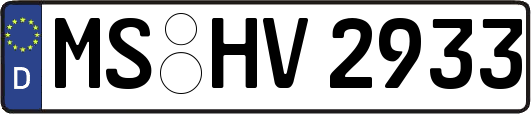 MS-HV2933