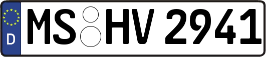 MS-HV2941