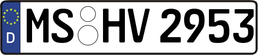 MS-HV2953
