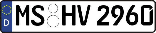 MS-HV2960