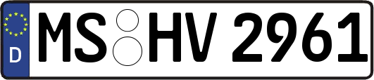 MS-HV2961
