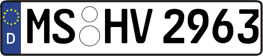 MS-HV2963