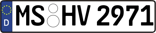 MS-HV2971