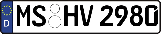 MS-HV2980