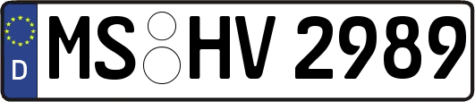 MS-HV2989