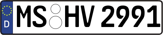 MS-HV2991