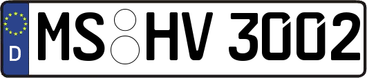 MS-HV3002