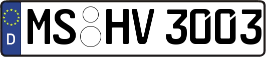 MS-HV3003