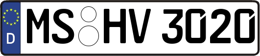 MS-HV3020