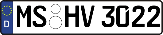 MS-HV3022
