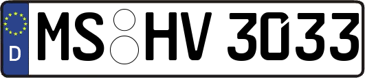 MS-HV3033