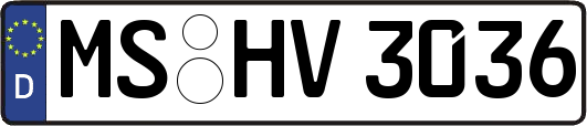 MS-HV3036