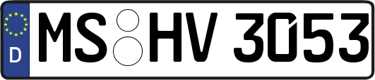 MS-HV3053