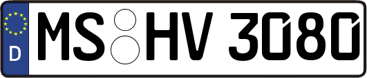 MS-HV3080