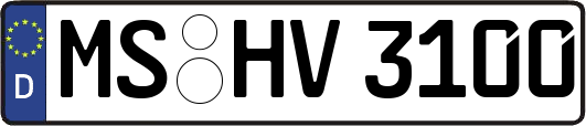 MS-HV3100