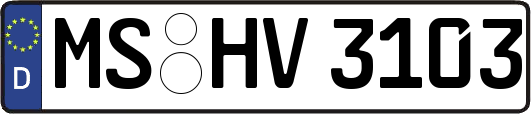 MS-HV3103