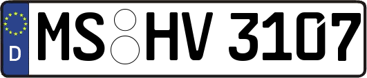 MS-HV3107
